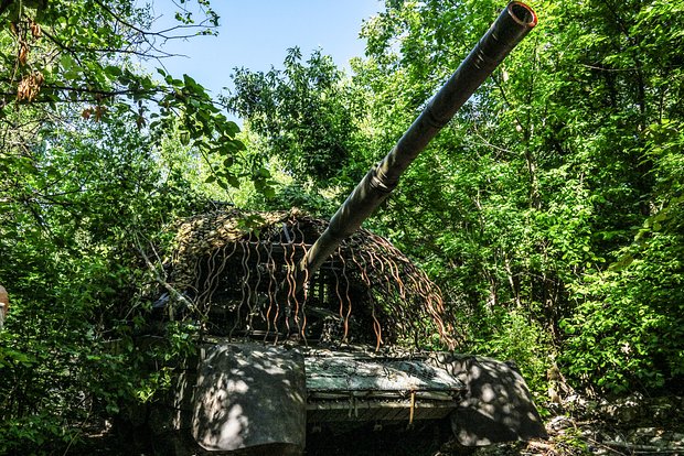 Вводная картинка