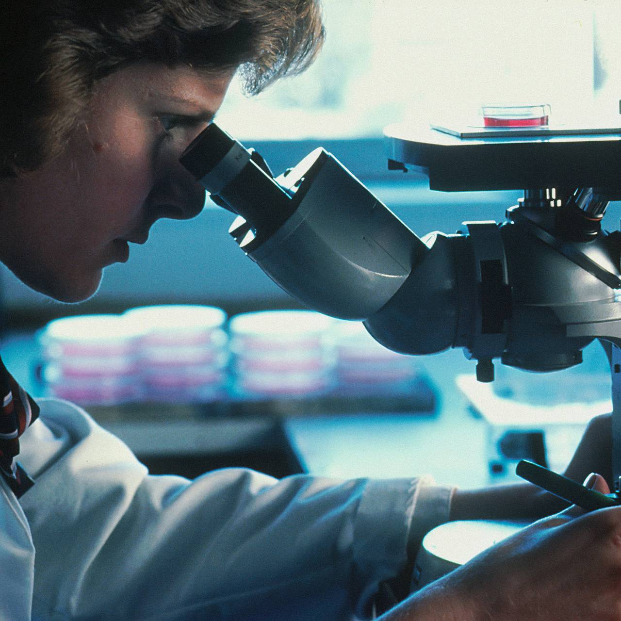 Ученые в России нашли бактерию-пожирателя нефти