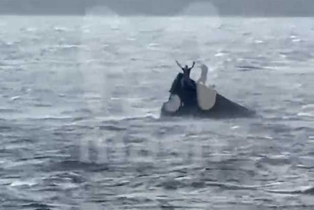 Вводная картинка