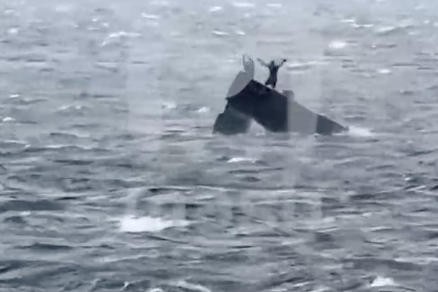 Вводная картинка
