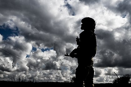 Пленный из ВСУ ответил на вопрос о возможности убить брата из ВС РФ
