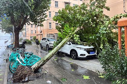 В Японии предупредили о двигающемся на Токио тайфуне