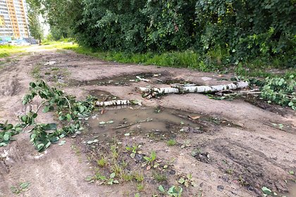 В Харькове пропал свет из-за урагана