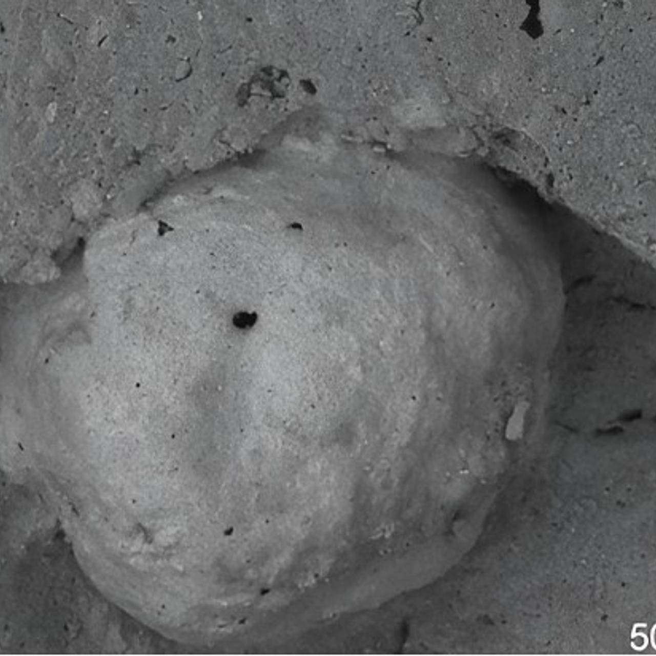 Нефтяные отходы превратили в настоящую керамику в России