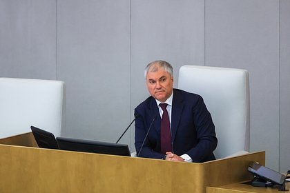 Володин высказался о расширении оснований для лишения приобретенного гражданства России