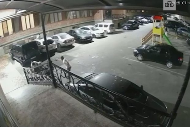 Вводная картинка