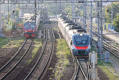 Россиянин сбросил с моста на железнодорожные пути собаку