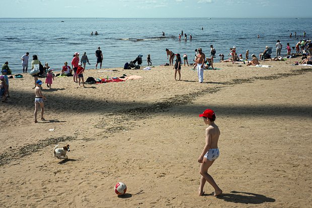 Вводная картинка