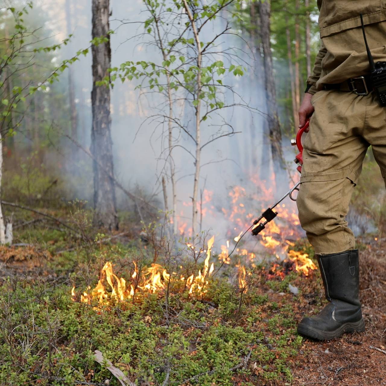 Фото: Алексей Зарецкий / РИА Новости