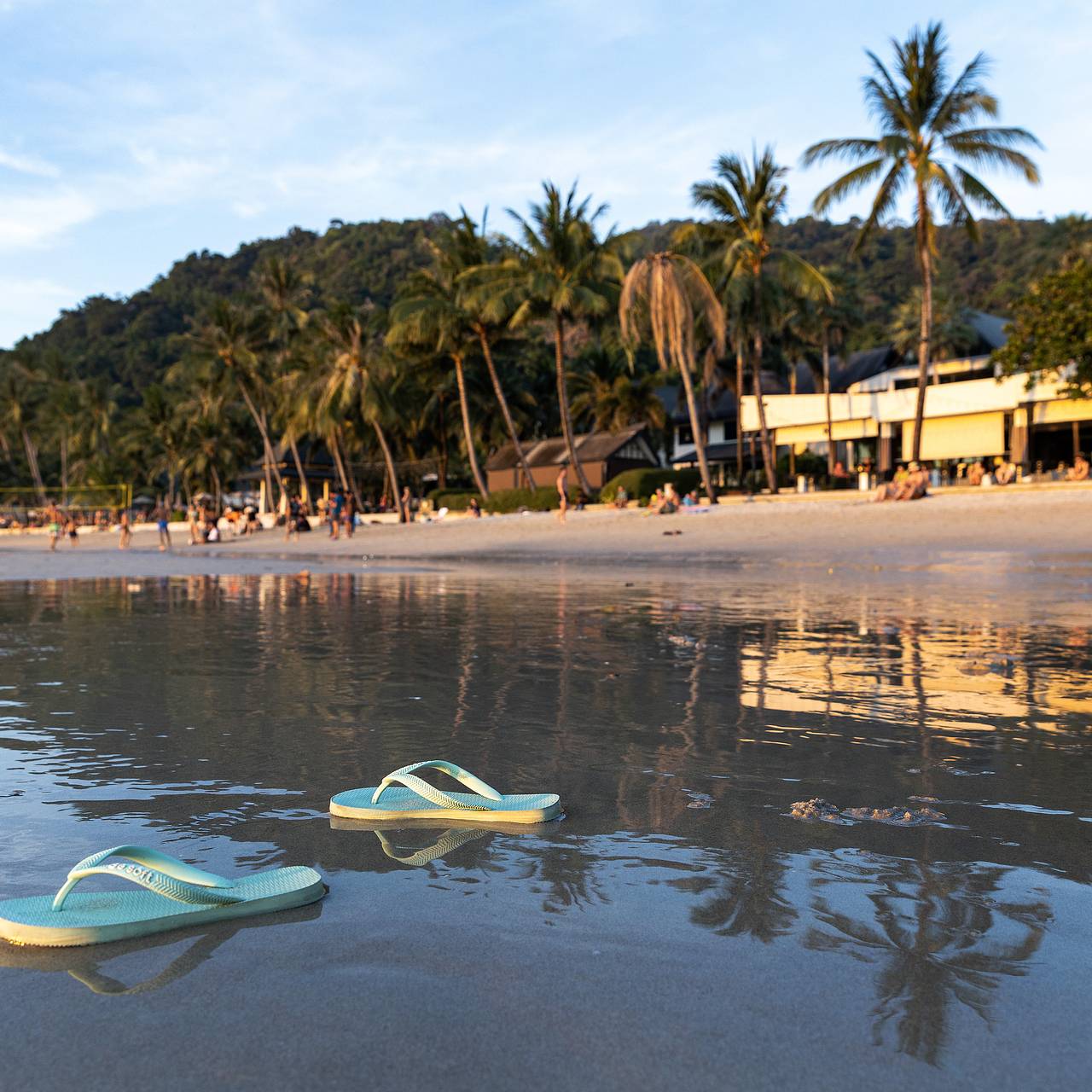 Россиян предупредили о риске смертельной болезни из-за купания в теплом море