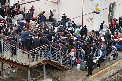 Российский врач предупредил о распространении смертельно опасной болезни из-за мигрантов