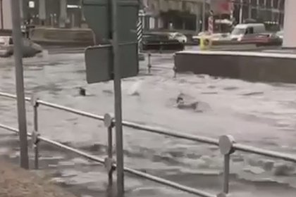 Москвичи начали плавать по улицам и попали на видео