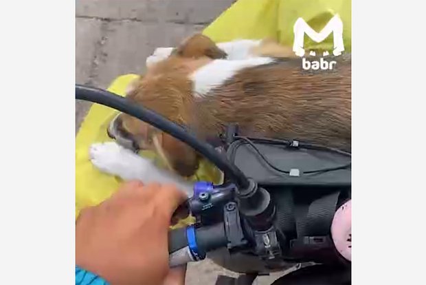 Вводная картинка