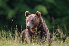 Архивное фото