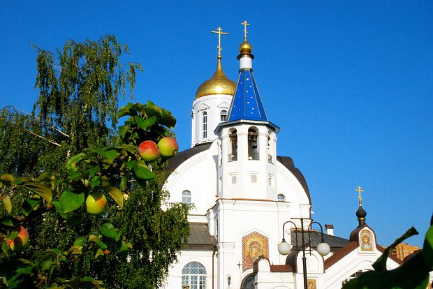 Вводная картинка