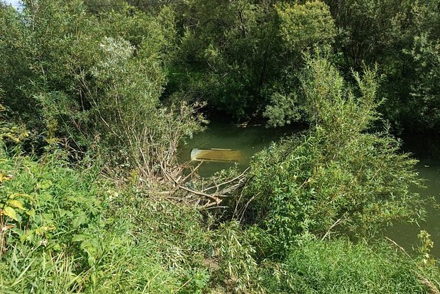 Вводная картинка