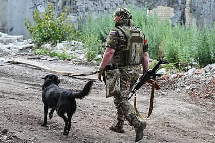 В России оценили влияние прекращения огня до 48 часов на ход СВО