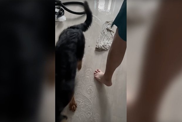 Вводная картинка