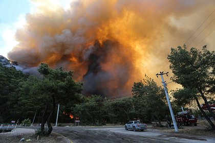 Лесные пожары в Турции не повлияли на отдых российских туристов