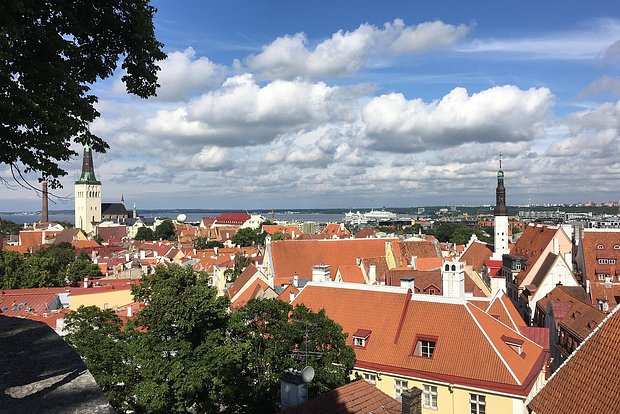 Вводная картинка