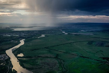 В деле о поджоге российского леса на 322 миллиона рублей появились неожиданные подробности
