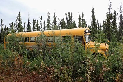 В школьном автобусе нашли 23 килограмма динамита