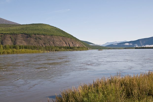 Вводная картинка