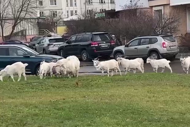 Вводная картинка