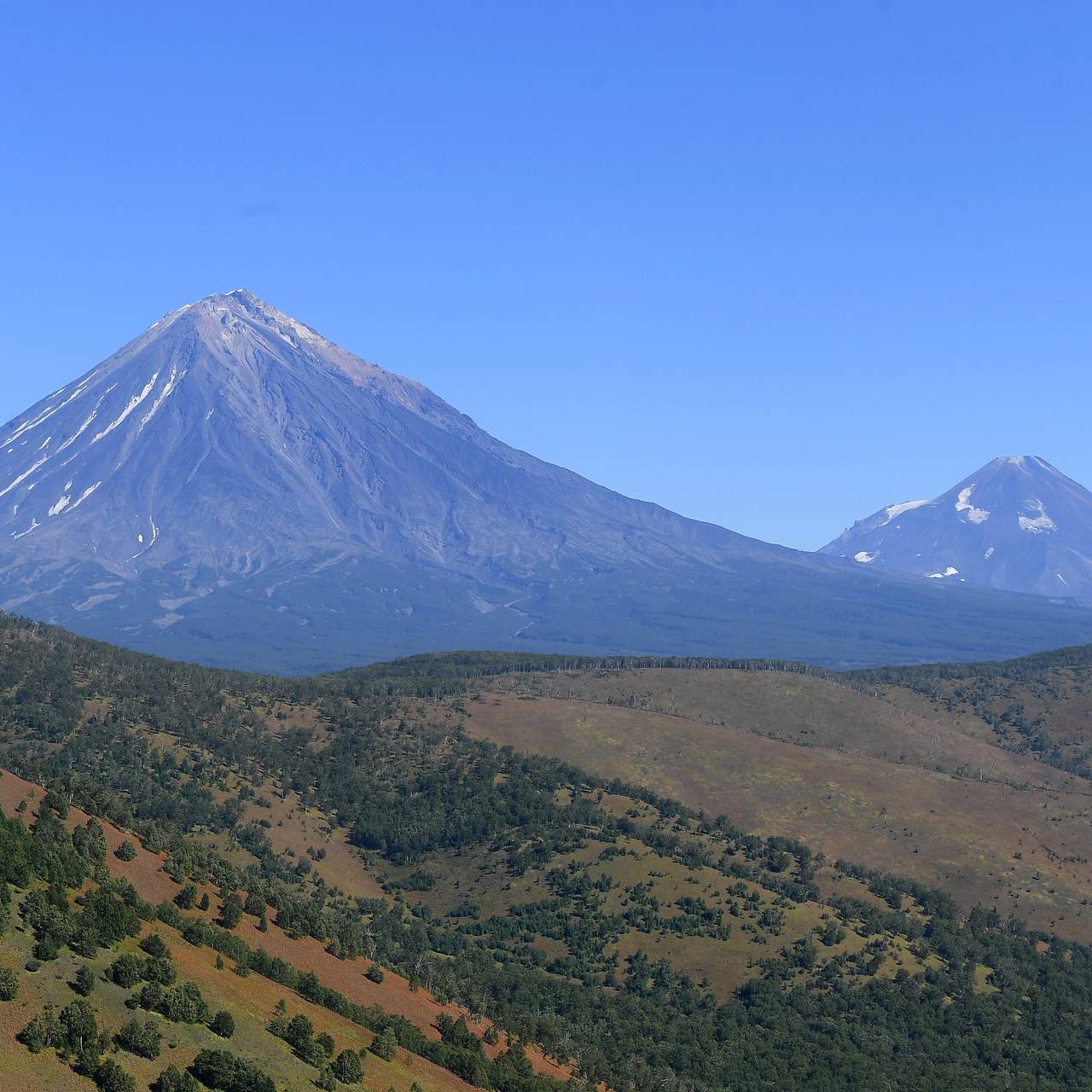 Фото: Алексей Куденко / РИА Новости