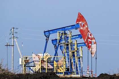 В Совфеде оценили ситуацию на рынке нефти после угроз Трампа