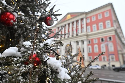 Депутат Госдумы призвал перенести часть новогодних праздников на весну