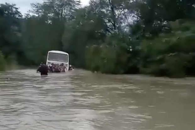 Вводная картинка