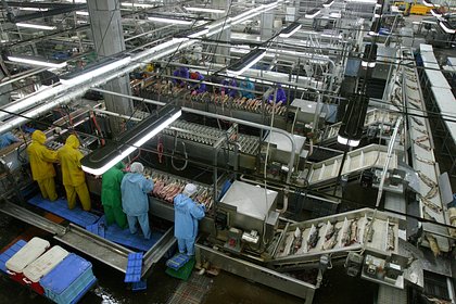 Цунами уничтожило все оборудование рыбзавода «Алаид»