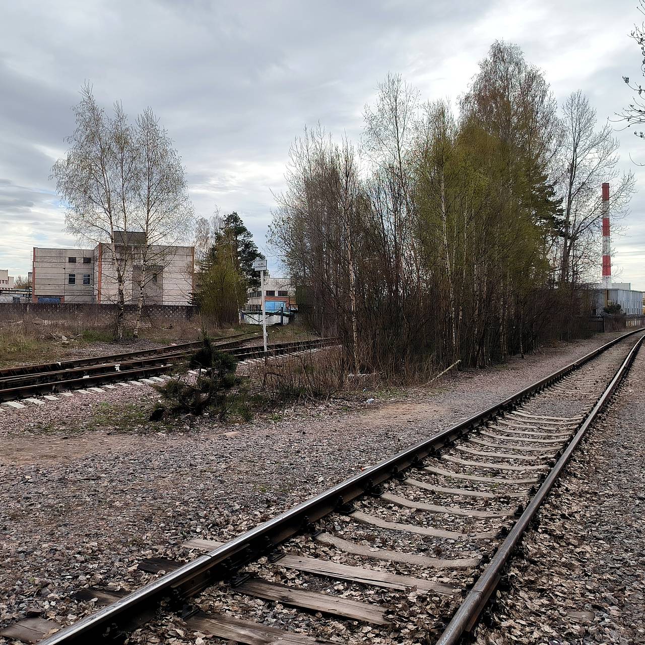 Архивное фото. Maksim Konstantinov / Global Look Press