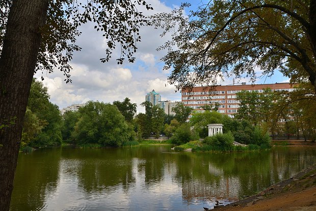 Вводная картинка