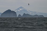 Часть Камчатки сместилась на два метра после мощного землетрясения 