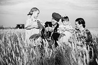 «Пришлось идти на унизительные меры» 70 лет назад СССР попытался накормить народ. Почему провал мегапроекта стоил Хрущеву власти?