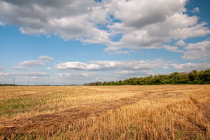 Черная коробка на парашюте приземлилась в поле в российском регионе