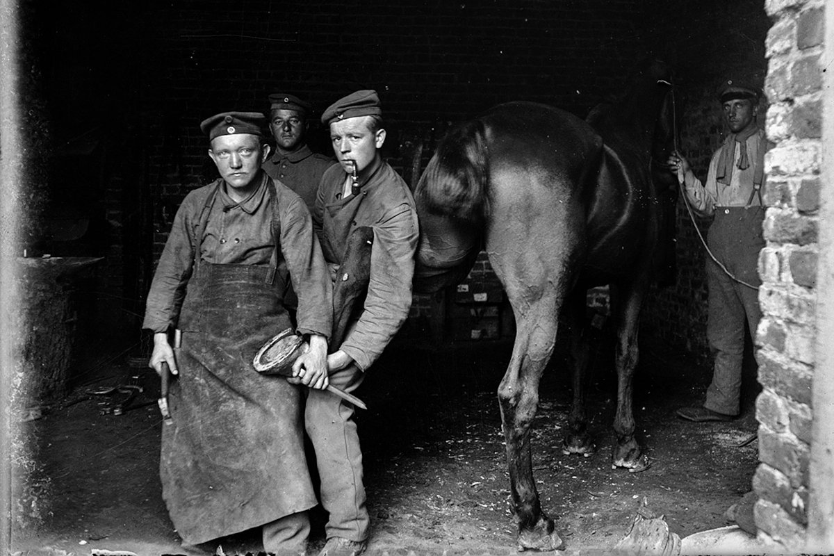 Портрет немецких кузнецов-ковалей в конюшне. Франция. 1915-1916 годы