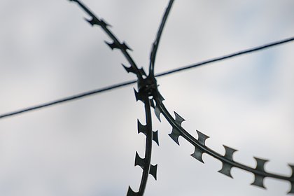 Солдат ВСУ заявил о готовности остаться в российской тюрьме вместо возвращения на Украину