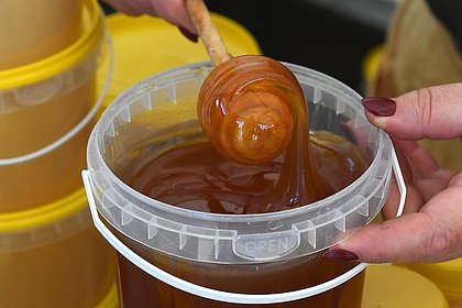 Россияне назвали свой любимый мед
