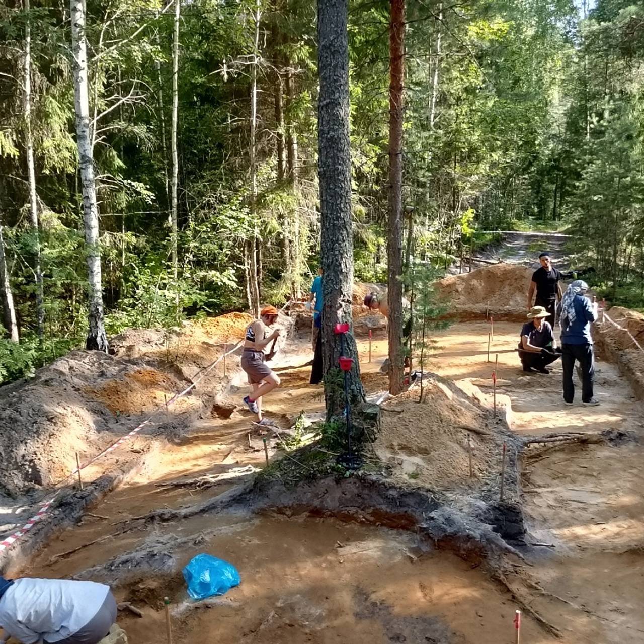 Археологи нашли древние марийские захоронения в нижегородских лесах