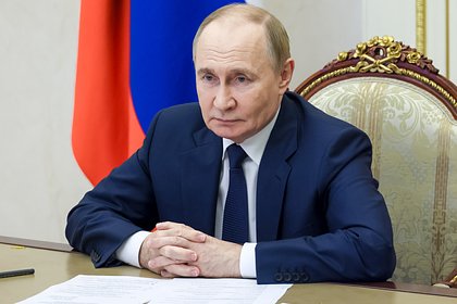 Путин открыл зоопарк и детсад в российских регионах