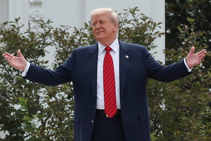 Трамп рассказал о реакции Европы на переговоры Путина и Уиткоффа