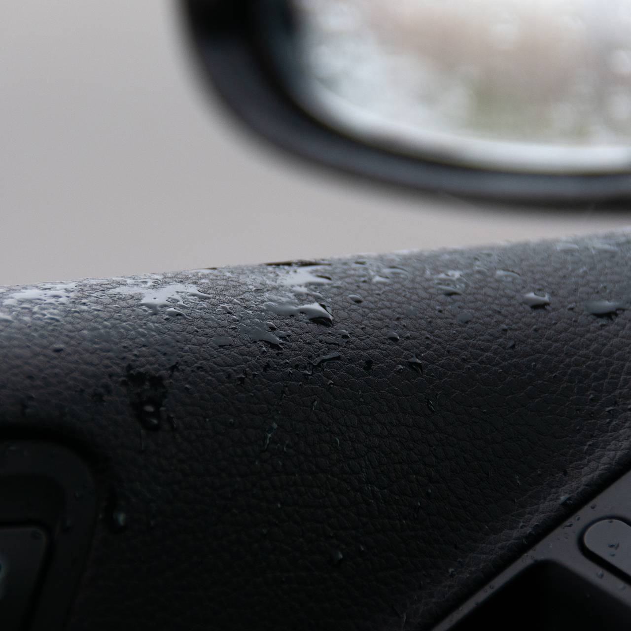 Фото: Svetlana Vozmilova / Global Look Press