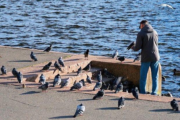 Вводная картинка