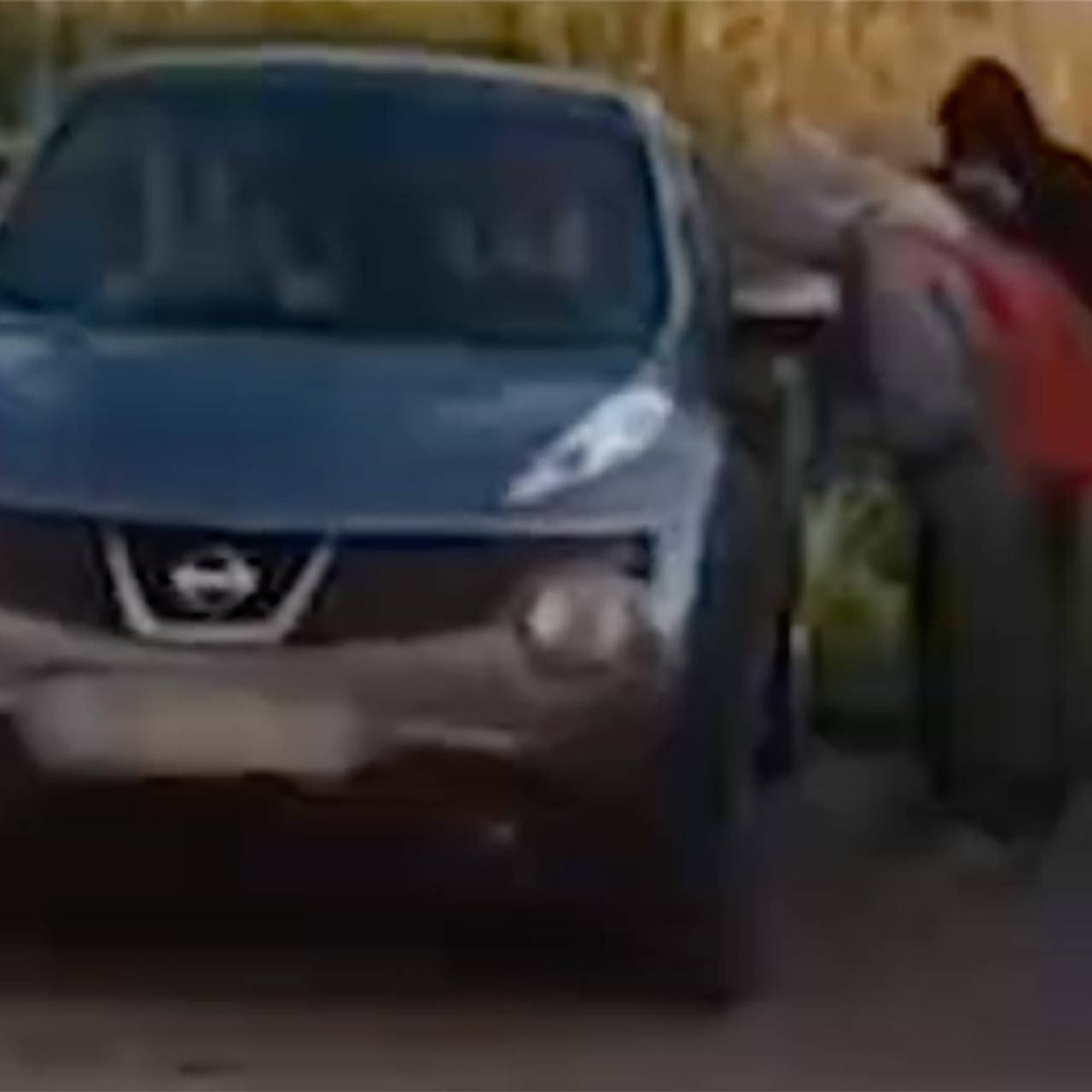 Кадр: Telegram-канал ТАСС