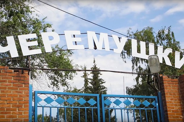 Вводная картинка