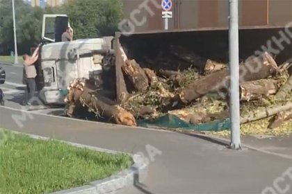 Перевернувшийся в Москве грузовик с бревнами сняли на видео