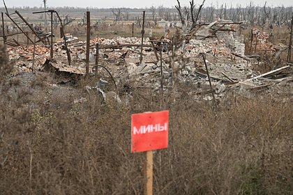 Мужчина подорвался на мине в российском регионе